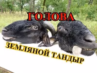 Голова +ножки +внутренний комплект барана для приготовления продаю — foto 2