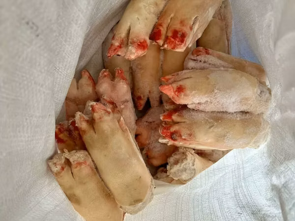 Ноги свиные