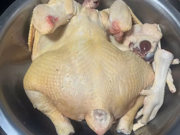 Vind gaini broiler