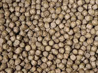 Nutritious 4mm Catfish Feed — ảnh 2