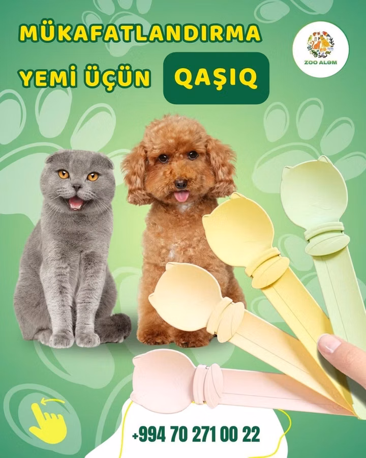 Ödül maması qaşığı (pişik və itlər üçün) Pişiklər və itləriniz üçün