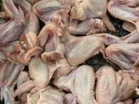 Крыло куриное — புகைப்படம் 1