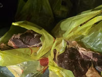 Топоздун этин сатабыз,продаём мясо яка,экологически чистое из Нарына — Foto 2