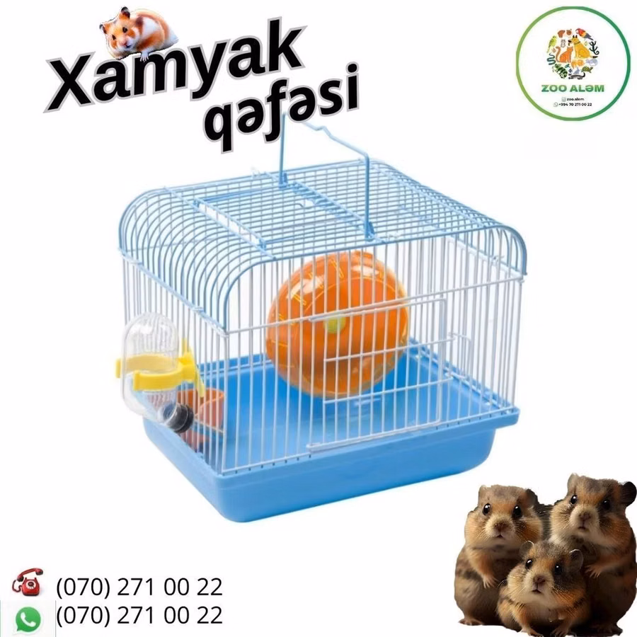 Xamyak və cunqarik qəfəsi. Sadə və kompakt dizaynda hazırlanmış bu