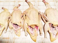 Продаются мясо немых уток — φωτογραφία 2