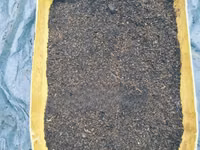Black Soldier Fly Frass. ( Organic Fertilizer ) 25 KGS — foto 2
