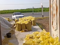 Silos sotiladi — 20 kg 15 000 so‘m, Xatirchi — 照片 5