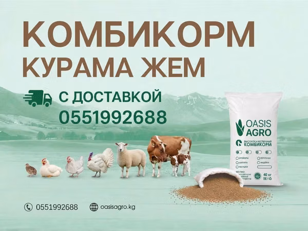 Доставка корма Оазис Агро до Ваших ворот - Нужен хороший корм, чтобы
