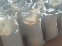 Yellow Maize for Sell — fotografija 1