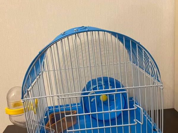 Xomaklar ucun kletka, balaca razmer, az istifade olunub, yaninda