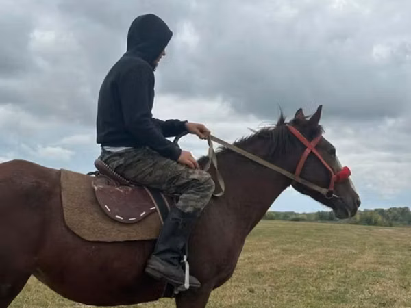 Mare, Horses — Kazakhstan