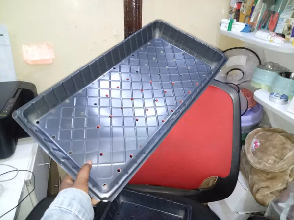 Practical Perforated Growing Trays - With Holes