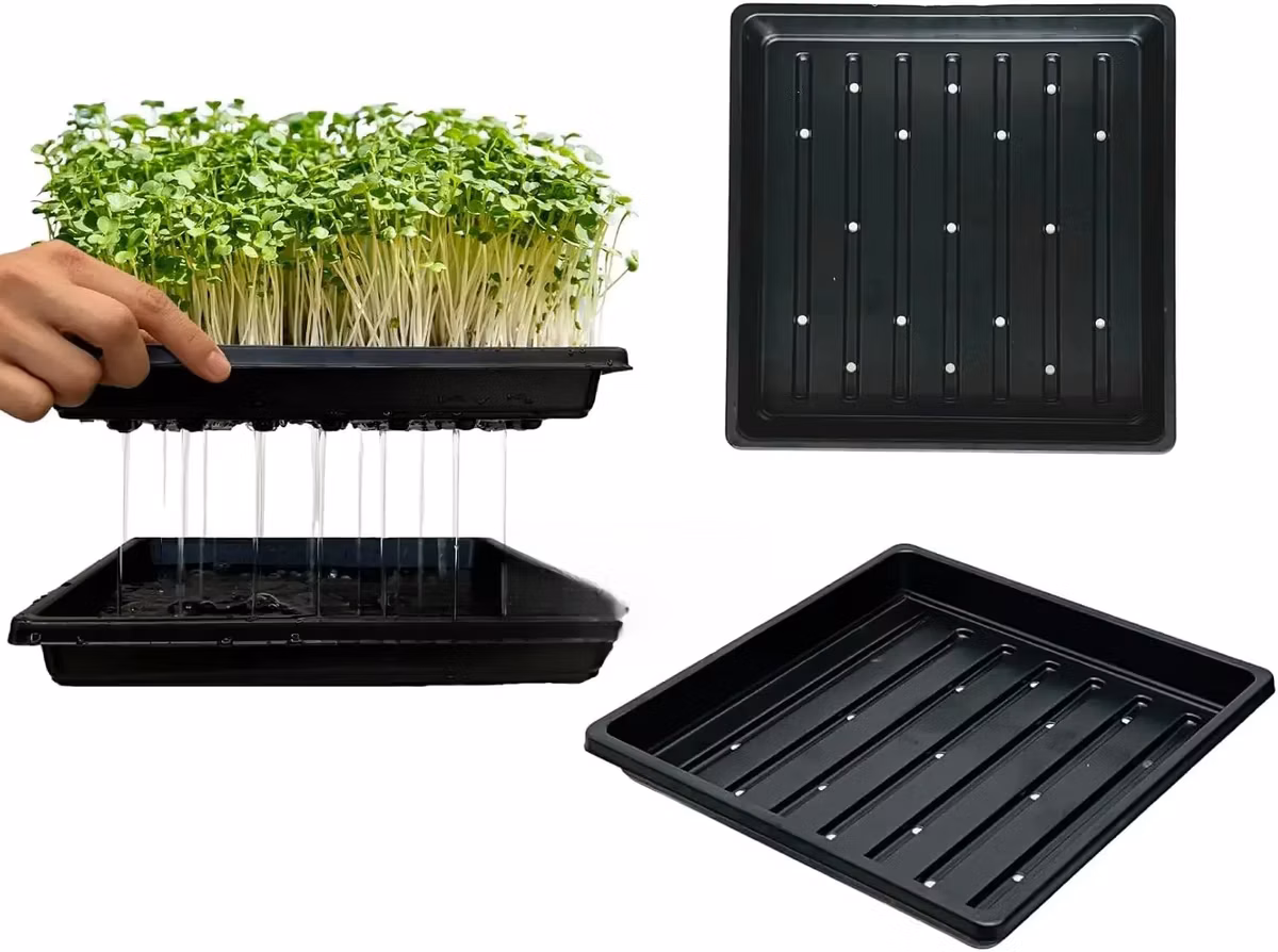Hydroponic Trays With Round Holes