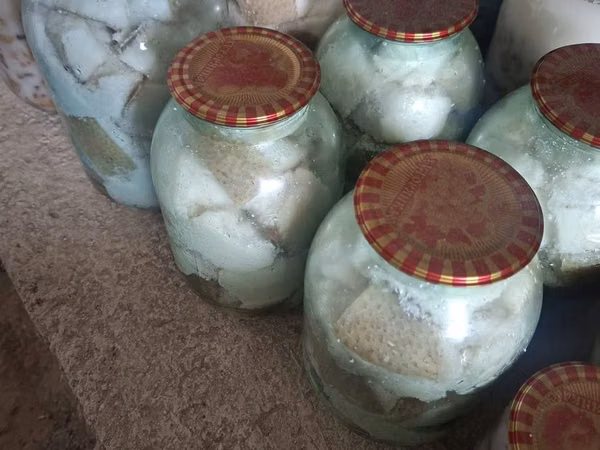नर सूअर,  — मॉल्डोवा