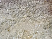 Broken Maize for Chicks and Chicken (High Quality) - 50kg — foto 4