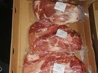 Porca, Porcos — foto 4