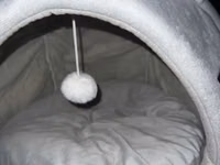 Pişiklər üçün yumşaq qapalı ev–yataq - Dizayn: Boz rəngli, pişik — φωτογραφία 2