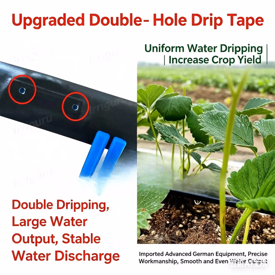 Upgraded Double Hole Tape