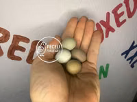 Quails — عکس 1