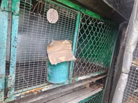 Кролики, Кишинёв мун. — photo 4