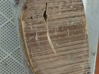 Печень 2 кат — புகைப்படம் 3