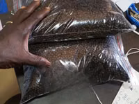 Cat Fish Feed Per Kg — fotografija 2