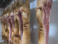 Vand carcasa de porc 75 lei kg — फ़ोटो 2