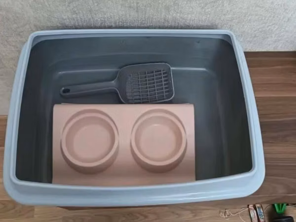 Ev heyvanları üçün dəst - Böyük ölçülü plastik konteyner/qutu – pişik