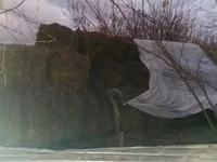 Продам сено в тюках — photo 1