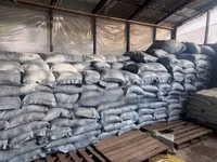 Cotton Seed — عکس 1