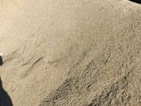Ячмень (зерно) адрес село СУУСАМЫР - Кормовой ячмень, цельное зерно — foto 1