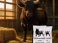 Dibi, Cattle — sawirka 1