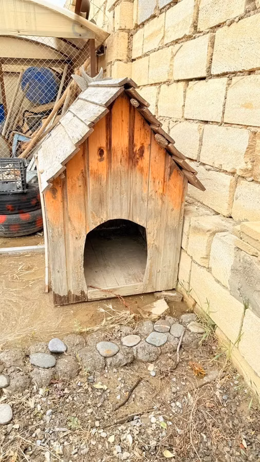 Taxta it evi - Material: təbii taxta lövhələr, ikiqat maili dam