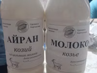 Козье молоко, айран, кымыз и саамал в пластиковых бутылках. На — عکس 1