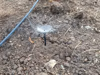 Microjet Sprinkler — photo 5