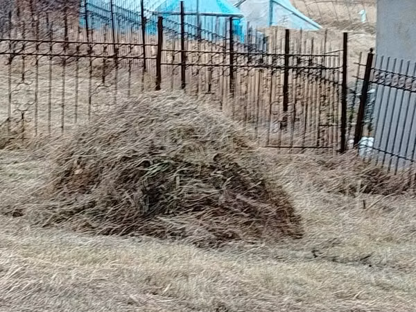 2 портер өвс