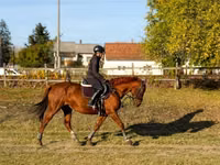 Модиён, Аспҳо — акс 3