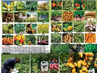 Organic Fertilizer Super Gro — 照片 2