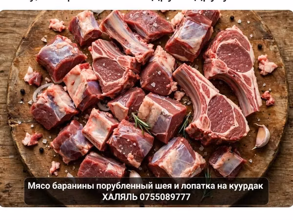 Мясо баранины, порубленное — шея и лопатка на куурдак. Подходит для