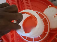Chick Feeders (Vya Chakula Kwa Ajili Ya Vifaranga) — 照片 2