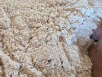 Maize Meal (DONA LA Mifugo) — foto 2