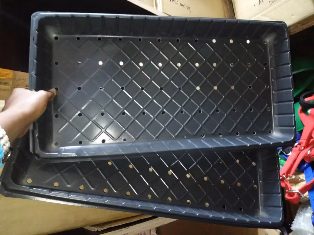Hydroponic Trays for Efficient Planting - With Holes