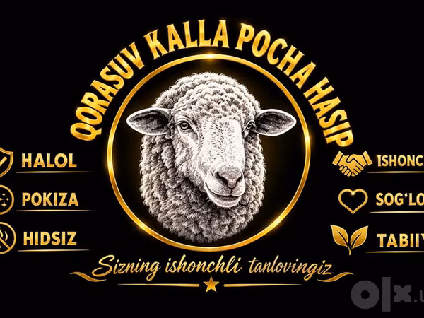 በጎች (ቡድን፣ ጾታ አልተጠቀሰም), Sheep