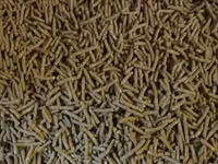 Granule pentru iepuri de calitate superioara.Edineț.facem livrare — zdjęcie 2