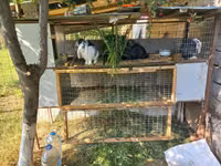 Клетка для кроликов. — photo 3