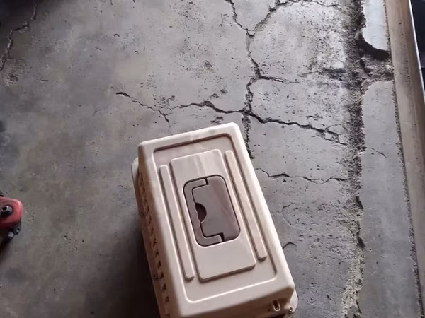 Կատուների վանդակ
