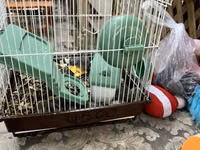 Hamster qəfəsi – tam dəst

15 ədədi qab qaşıg satıram — снимка 1