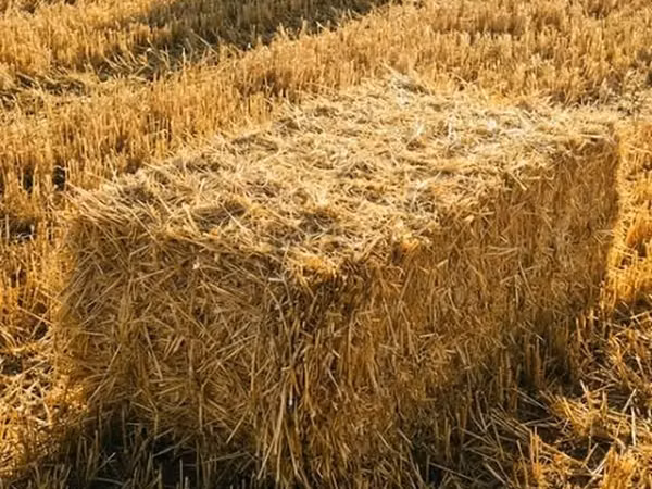 Продаю солому ячменную в розницу и оптом, тюки сухие лежат под
