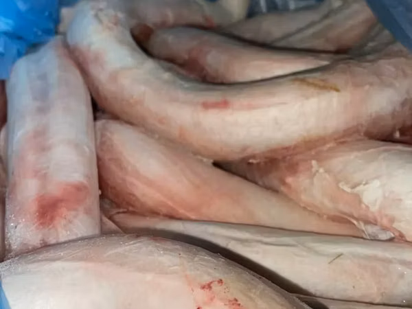 Пенисы бычьи, бычий корень
