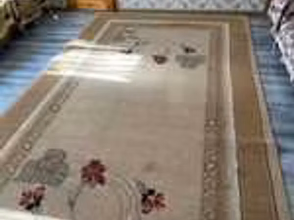 Ram, Sheep — Kazakhstan